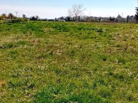 terrain constructible viabilisé à vendre