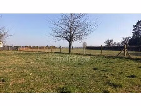 terrain constructible à vendre