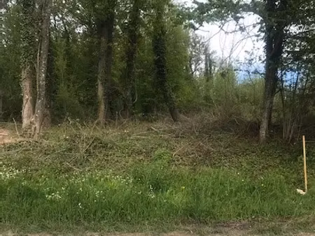 vente terrain 876 m² à chauffry (77169)  55 000 €