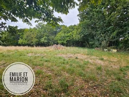 vente terrain à genouillé (17430) : à vendre / 750m² genouillé