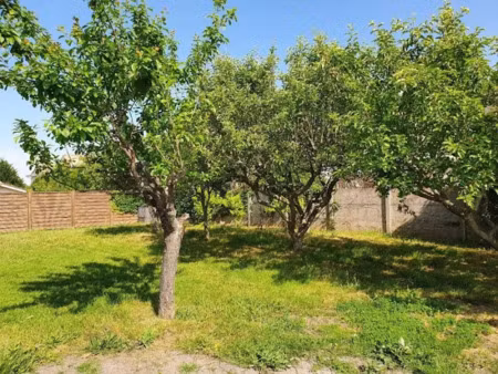 vente terrain 250 m² à calvisson (30420)  125 000 €