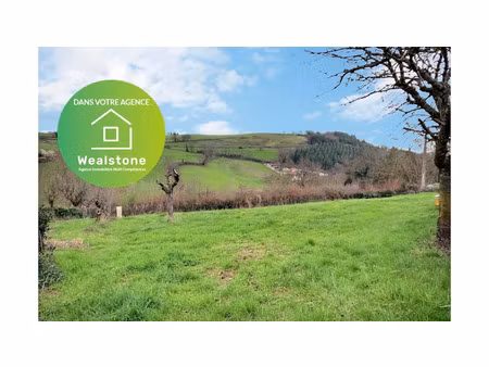 vente terrain 1000 m² à saint-galmier (42330)  149 000 €