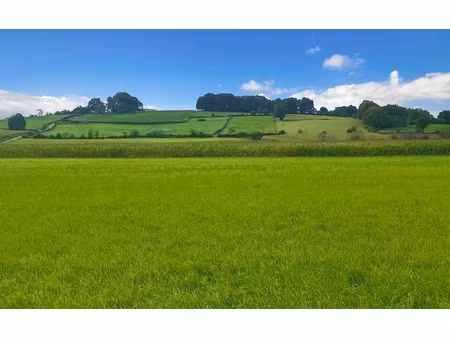 vente terrain 11000 m² à bidache (64520)  308 000 €