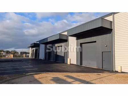 location locaux professionnels 150 m² à saint-paul-trois-châteaux (26130)  1 500 €