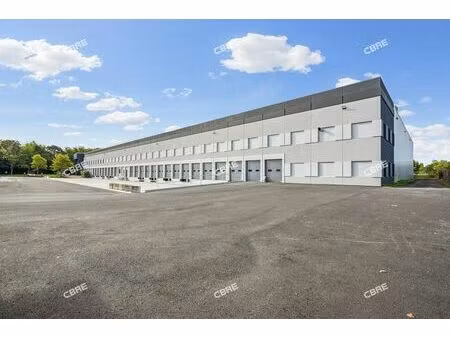 location local d'activités lisses 8 018 m²