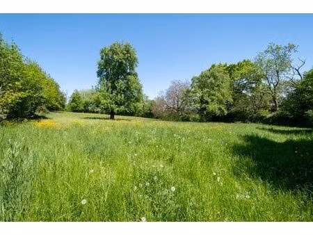 terrain de 4214 m2 en vente - échenevex  auvergne-rhône-alpes