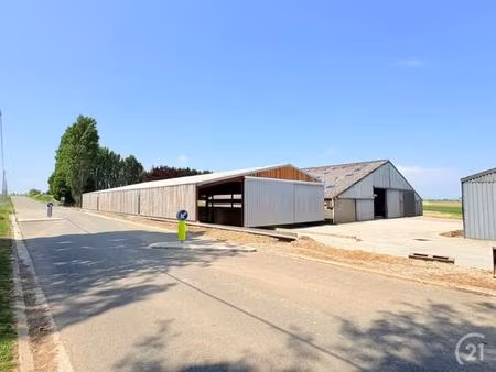 accueil en vente à chemin de jamagne 1a  hemptinne  belgique | century 21®