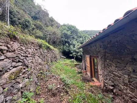 vente maison 4 pièces 93 m² le bosc (09000)