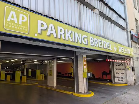 12 parkeerplaatsen in de parking breydel