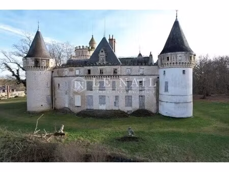 château sancoins - 10 chambres - 870m²