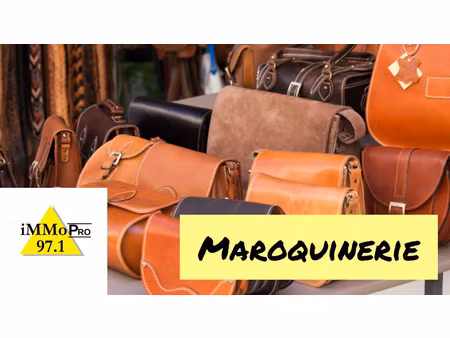 location local commercial 50m² baie mahault 97122