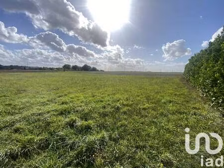 vente terrain à bazoches-les-gallerandes (45480) : à vendre / 1520m² bazoches-les-galleran