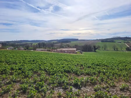 vente terrain 1102 m² puycasquier (32120)