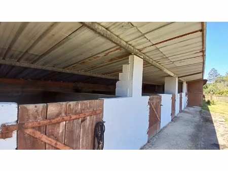 vente maison 7 pièces 220 m² mimbaste (40350)