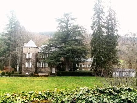 château à vendre à brassac