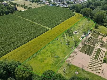 terrain à vendre à ordingen € 67.500 (led60) - de woonmakers | zimmo