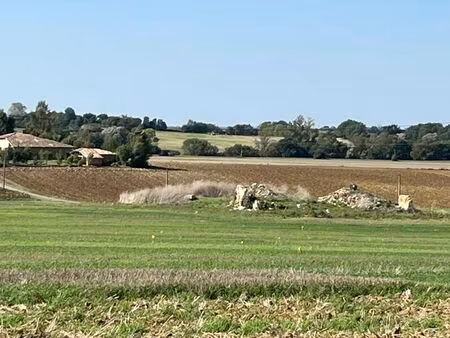 vente terrain 3200 m² faudoas (82500)