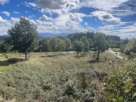 vente terrain à palladuc (63550)  39 000 €