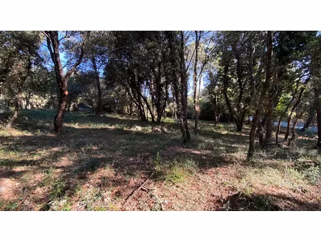 vente terrain 1307 m² à biot (06410)  475 000 €
