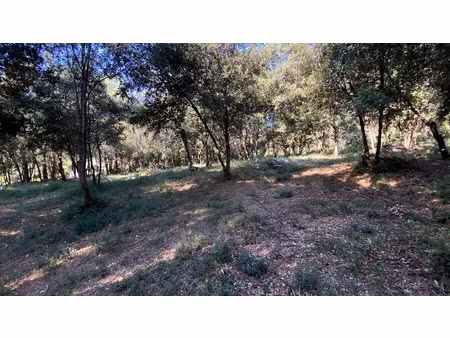 vente terrain 1317 m² à biot (06410)  495 000 €