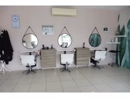 vente locaux professionnels 2 pièces 60 m² à orbigny (37460)  39 000 €