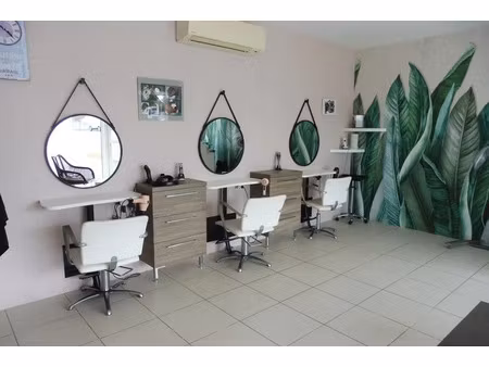 vente locaux professionnels 60 m² à orbigny (37460)  39 000 €