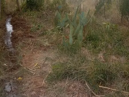 location terrain agricole