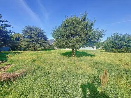 vente terrain à sainte-luce-sur-loire (44980) : à vendre / 684m² sainte-luce-sur-loire