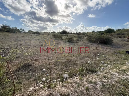 terrain constructible 950m2 - saint-francois