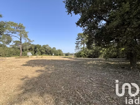 vente terrain 11 204 m²