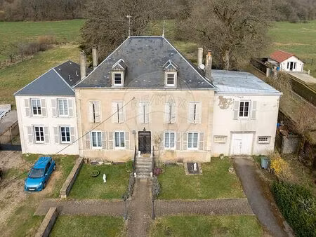 château 5 chambre(s) à vendre