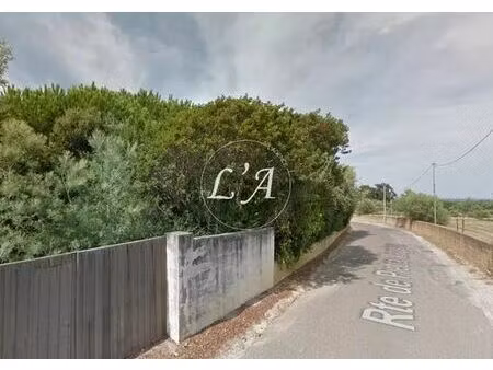 terrain de 3360 m2 - calvi  corse