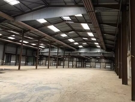 location entrepôt / local d'activités roppentzwiller 4 934 m²