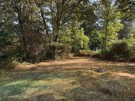 achat terrain 1 950m² haux 33550