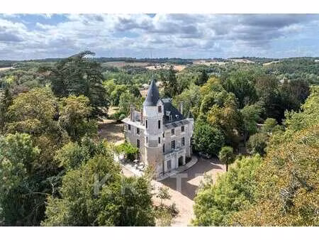château à vendre à saint-estèphe : 1 800 000 € | 600m²