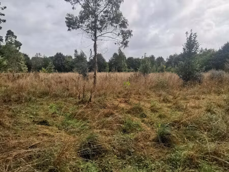 meslan vente terrains à bâtir