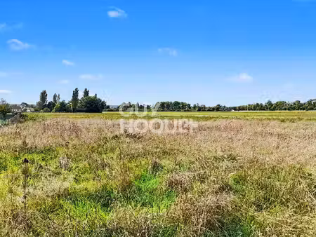 achat terrain 851m² moneteau 89470