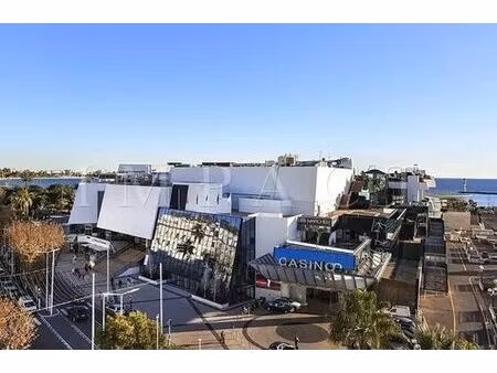 appartement de prestige en location cannes  france