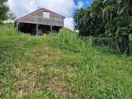 achat terrain 1 215m² le vauclin 97280