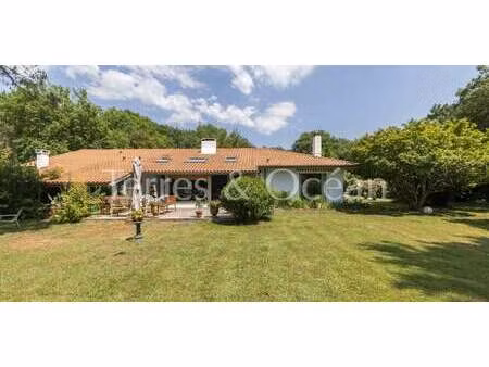 maison avec piscine et jardin seignosse (40)