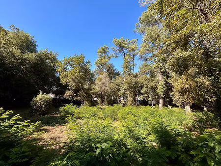 terrain saint hilaire de riez 668 m2