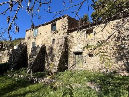 mas catalan sur plus de 39 hectares