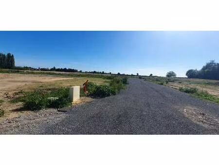 vente terrain à la ménitré (49250) : à vendre / 942m² la ménitré