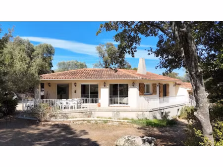 vente maison 6 pièces 145 m² à sotta (20146)  636 000 €