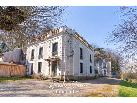vente propriété 14 pièces 623 m² à mosnes (37530)  899 000 €