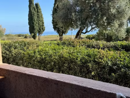 vente appartement 2 pièces 31.32 m² à canale-di-verde (20230)  132 500 €