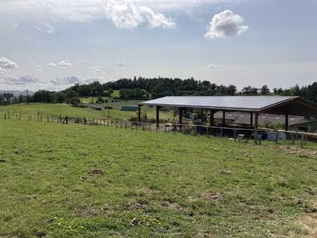 propriété équestre à fort potentiel !