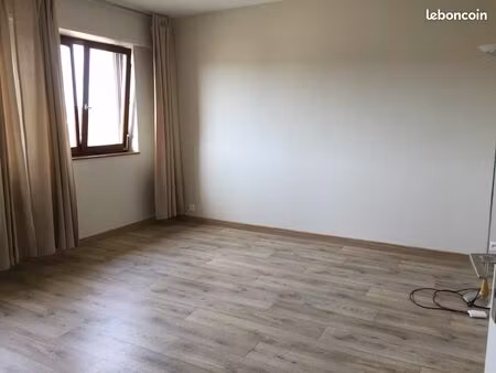 studio de 30 80 m² avec cave - steinbourg