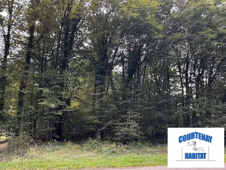 vente terrain 2370 m² à saint-hilaire-les-andrésis (45320)  35 000 €