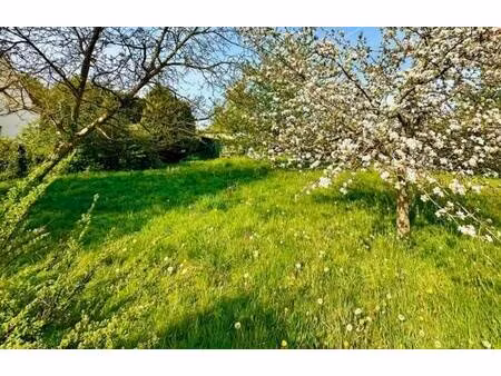 terrain constructible viabilisé à vendre